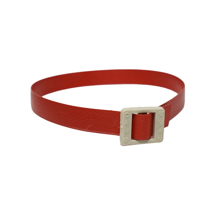 Collar plastizuncho para can en campo entomológico
